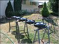 IMG_0917