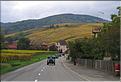 IMG_0494