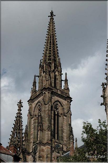 DSC_0200