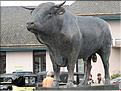 Blattner-009