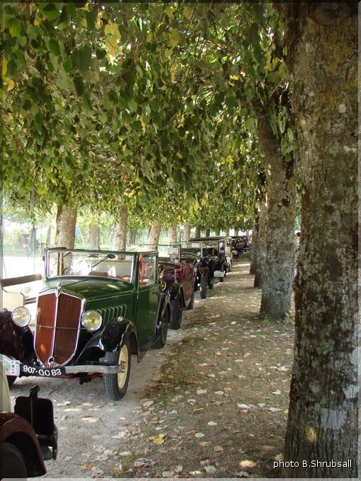 Bourges-Shrubsall-07