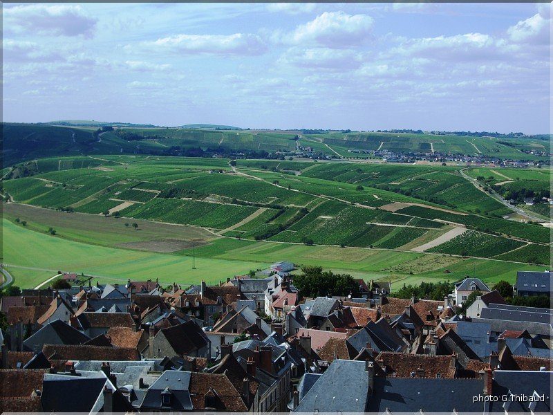 Bourges-Thibaud-079