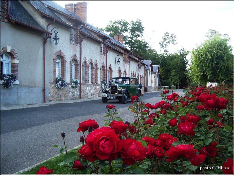 Bourges-Thibaud-084