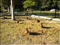 Bourges-Bouvard-107