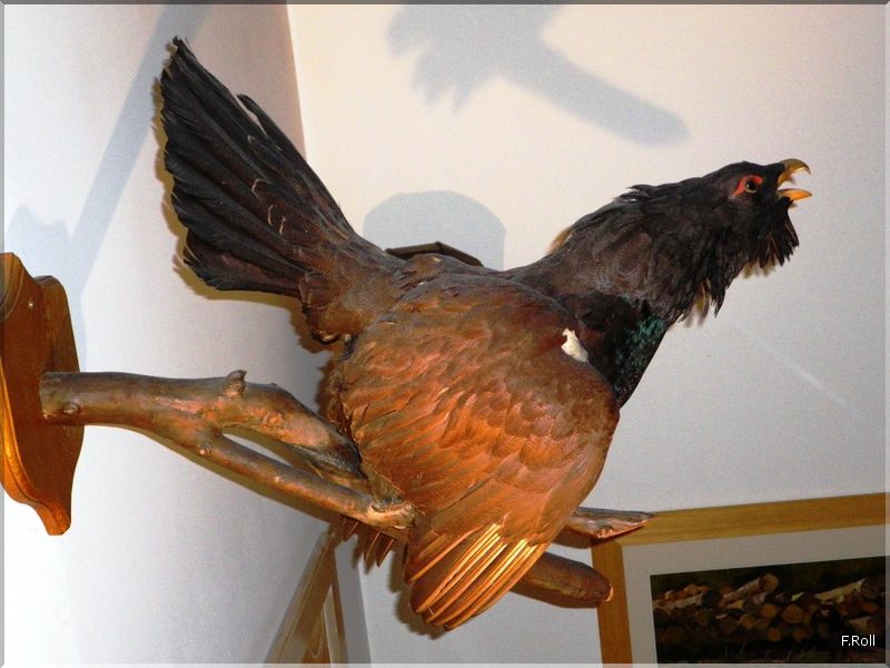 Crit&eacute;rium-JFB-20100508-FRoll-23