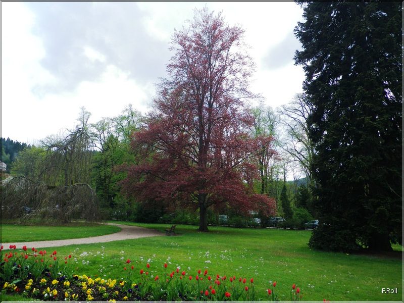 Crit&eacute;rium-JFB-20100508-FRoll-45