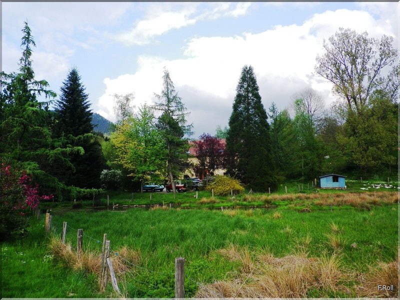 Crit&eacute;rium-JFB-20100508-FRoll-52