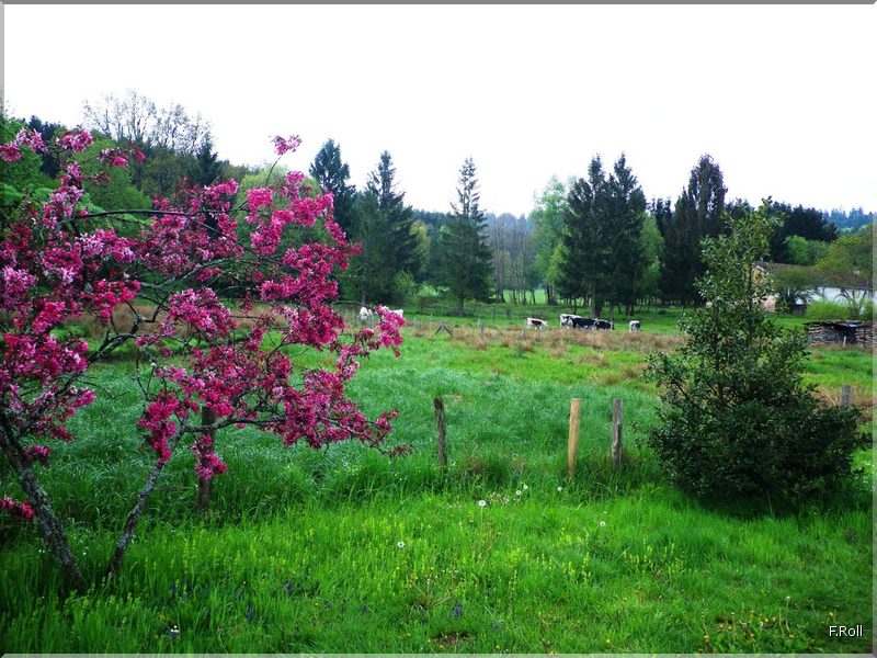 Crit&eacute;rium-JFB-20100509-FRoll-07