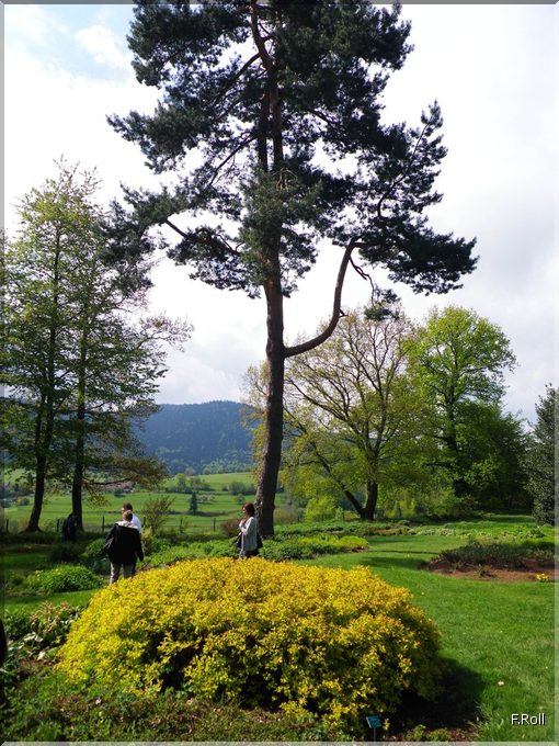 Crit&eacute;rium-JFB-20100509-FRoll-37