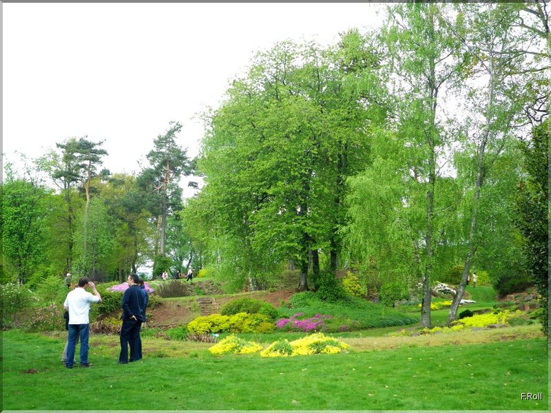 Crit&eacute;rium-JFB-20100509-FRoll-40