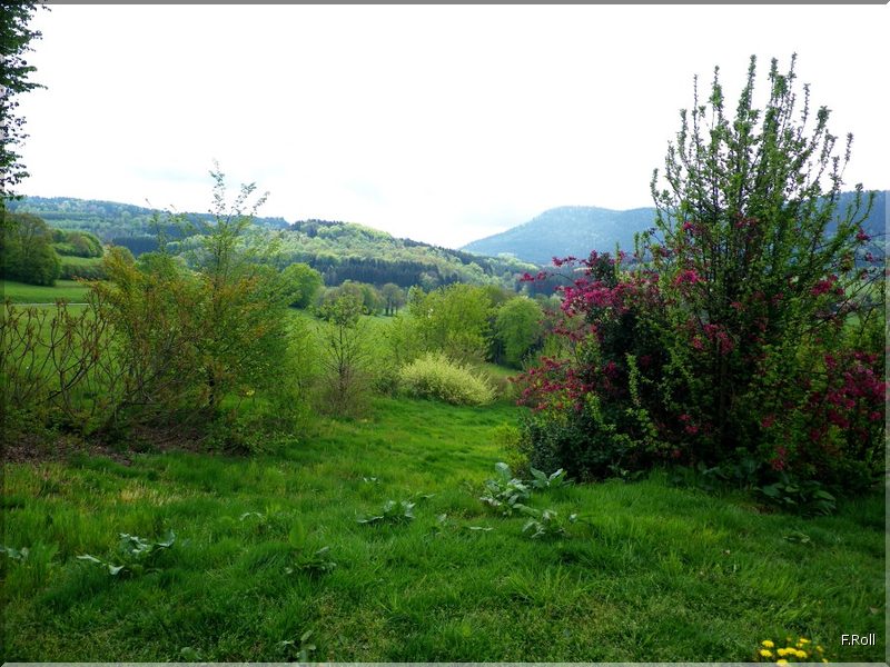 Crit&eacute;rium-JFB-20100509-FRoll-43