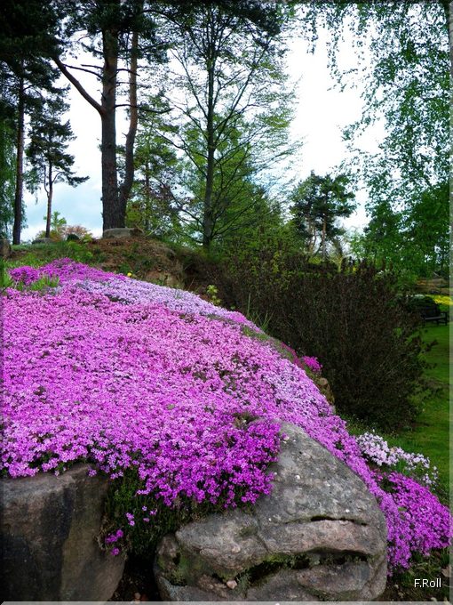 Crit&eacute;rium-JFB-20100509-FRoll-45