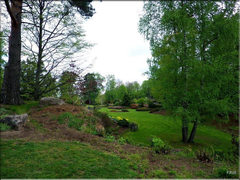 Crit&eacute;rium-JFB-20100509-FRoll-47