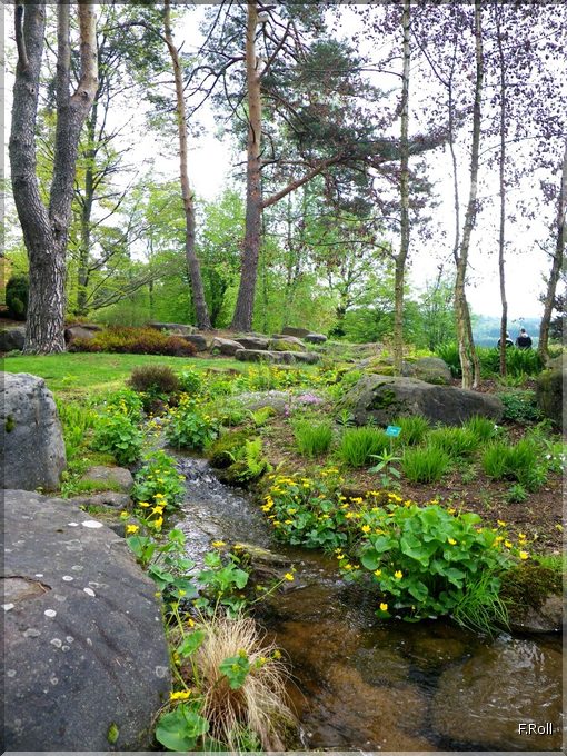 Crit&eacute;rium-JFB-20100509-FRoll-49