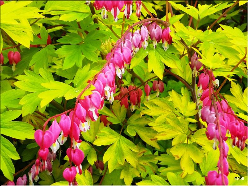 Crit&eacute;rium-JFB-20100509-FRoll-52