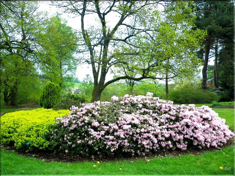 Crit&eacute;rium-JFB-20100509-FRoll-64