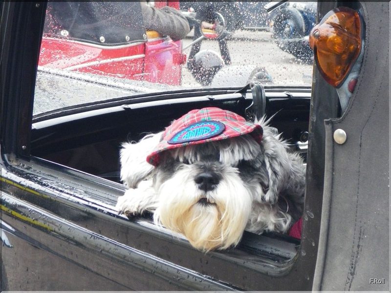 Crit&eacute;rium-JFB-20100509-FRoll-94