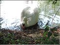 ACBlattner-011