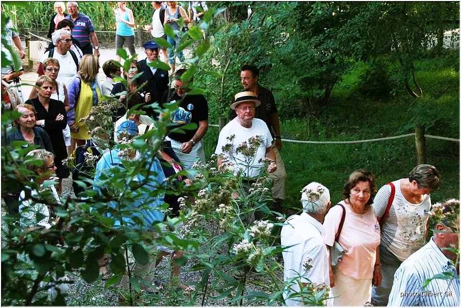 GGil-10