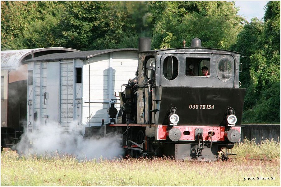 GGil-115