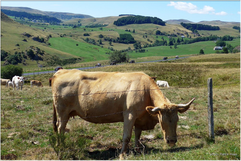 Mathis C&eacute;zallier 077 PHaas