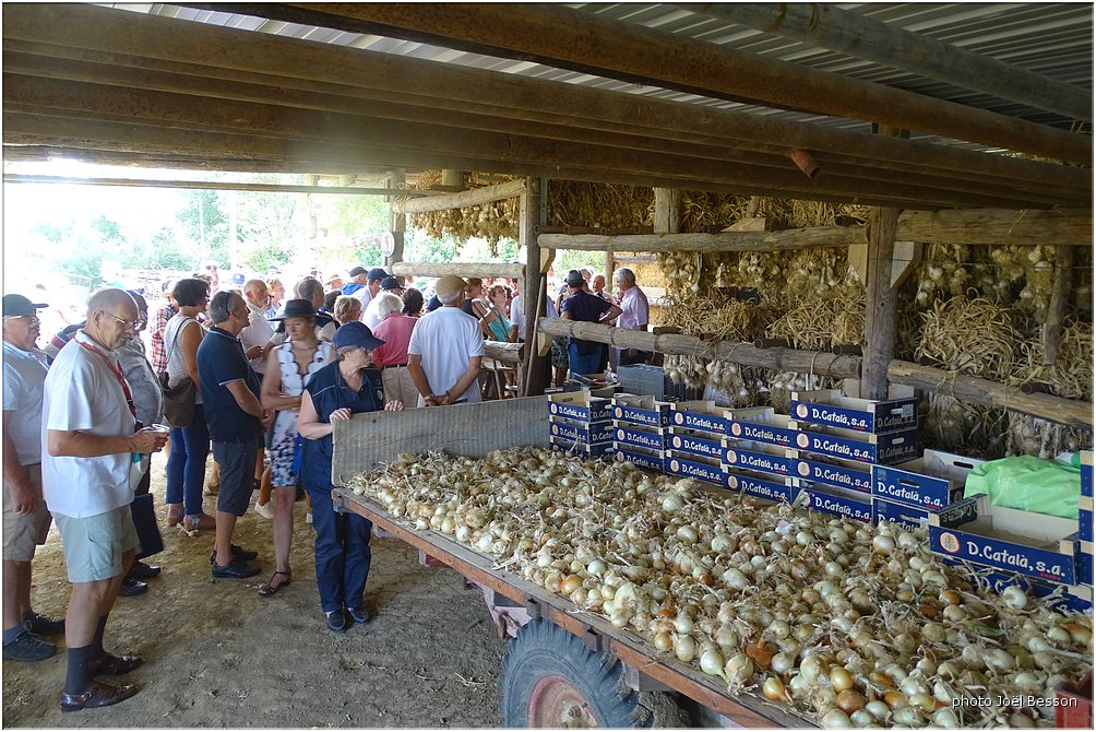 Castres-2017-125-JBesson