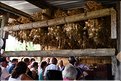 Castres-2017-086-PHaas