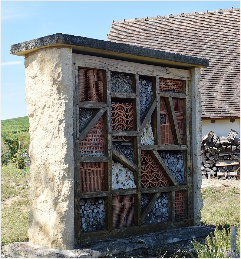 ACBlattner